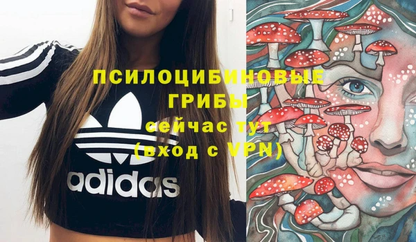 бутират Мегион