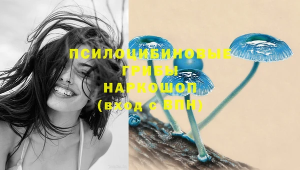 бутират Мегион
