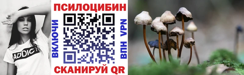 Псилоцибиновые грибы Psilocybe  Мурино 