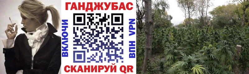 Бошки марихуана MAZAR Мурино